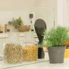 戸建て